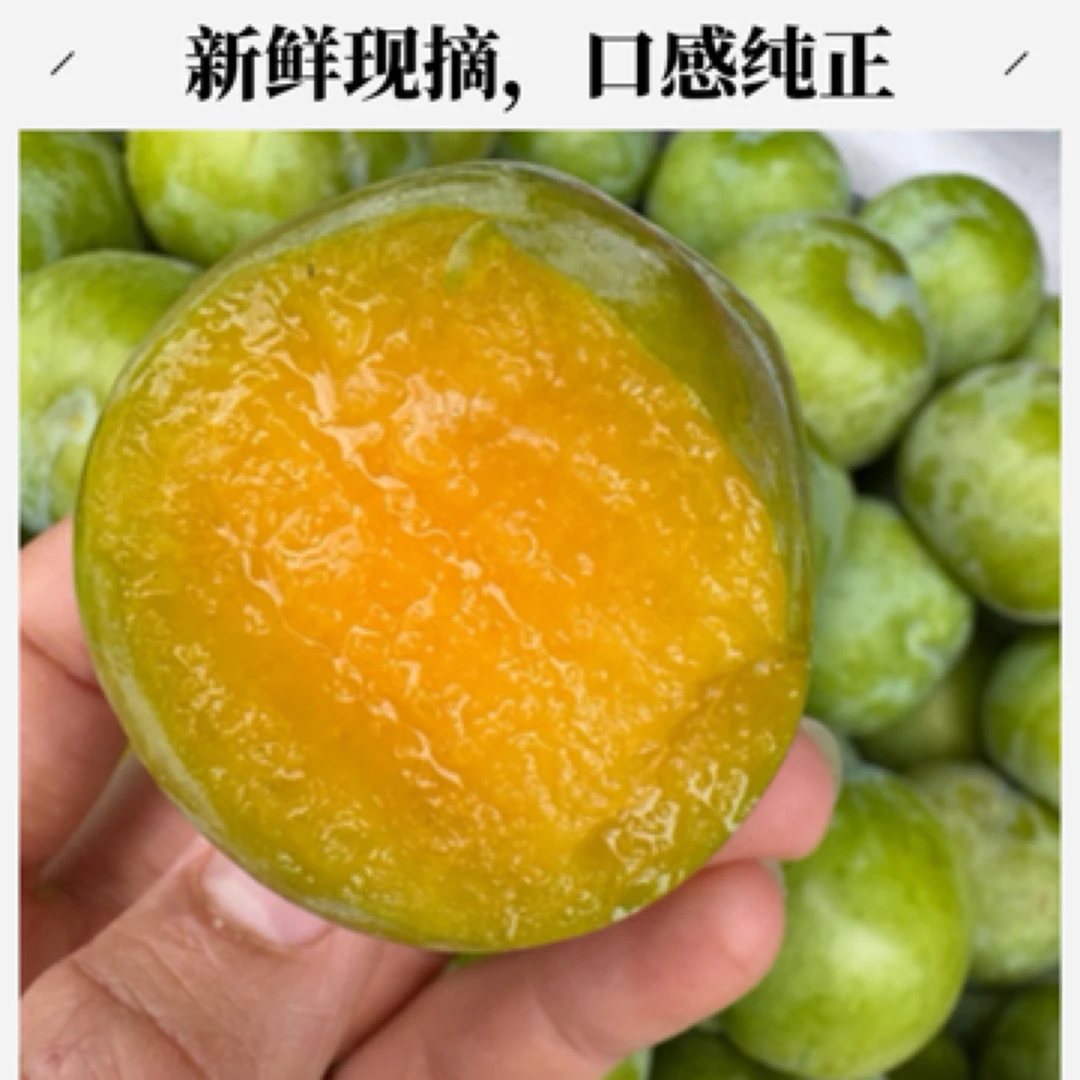 贵州六马蜂糖李1000克