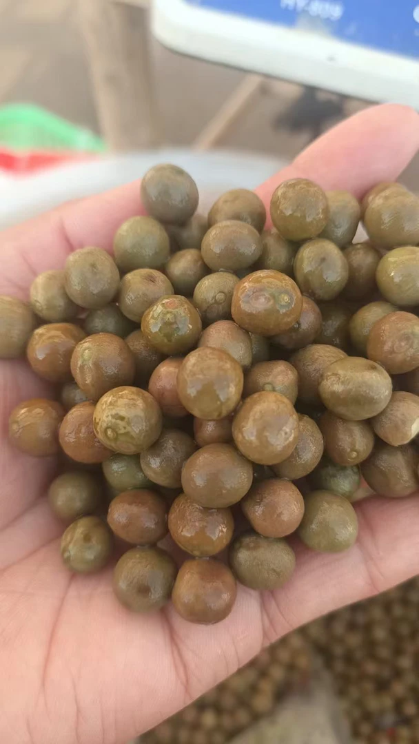 二青一级鸡头果芡实