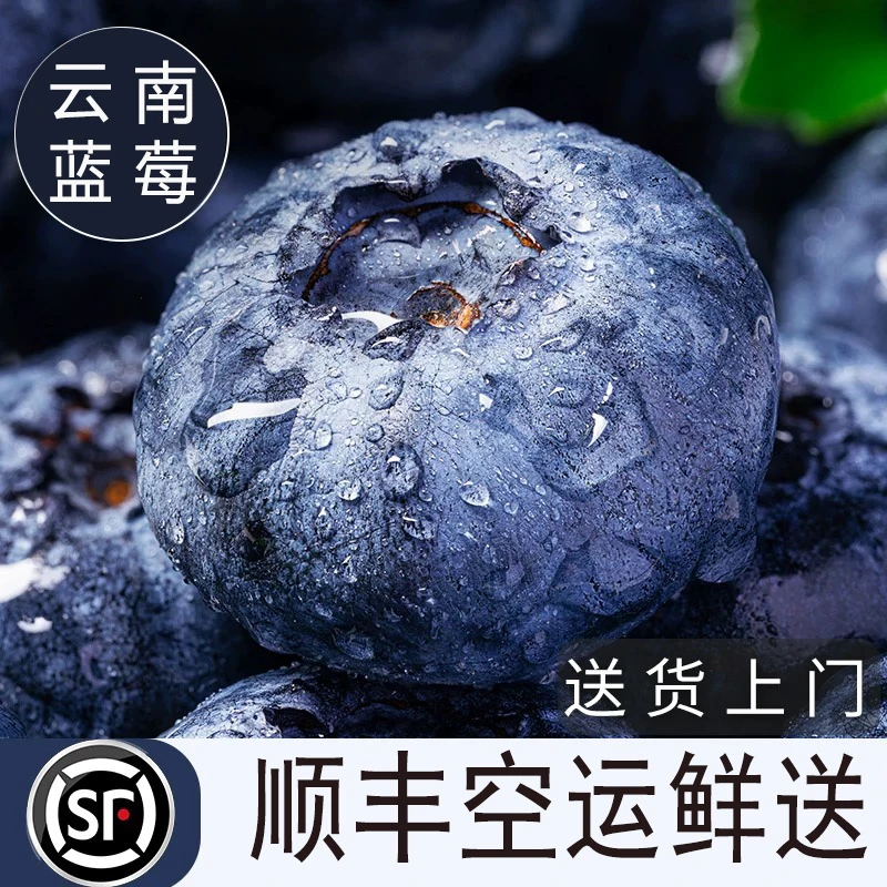 【顺丰空运】云南蓝莓A级新鲜采摘原生态香甜爆汁孕妇宝宝花青素