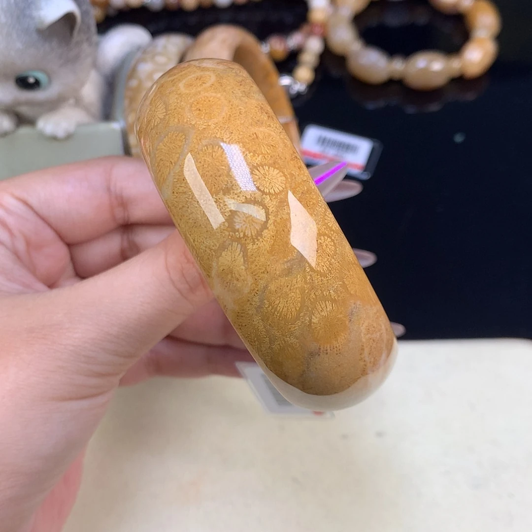 【闪购商品】颈饰未镶嵌硅化珊瑚（珊瑚玉）