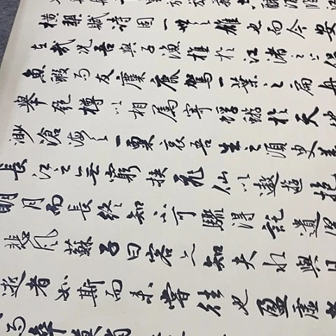 半***云苏轼赤壁赋行书作品