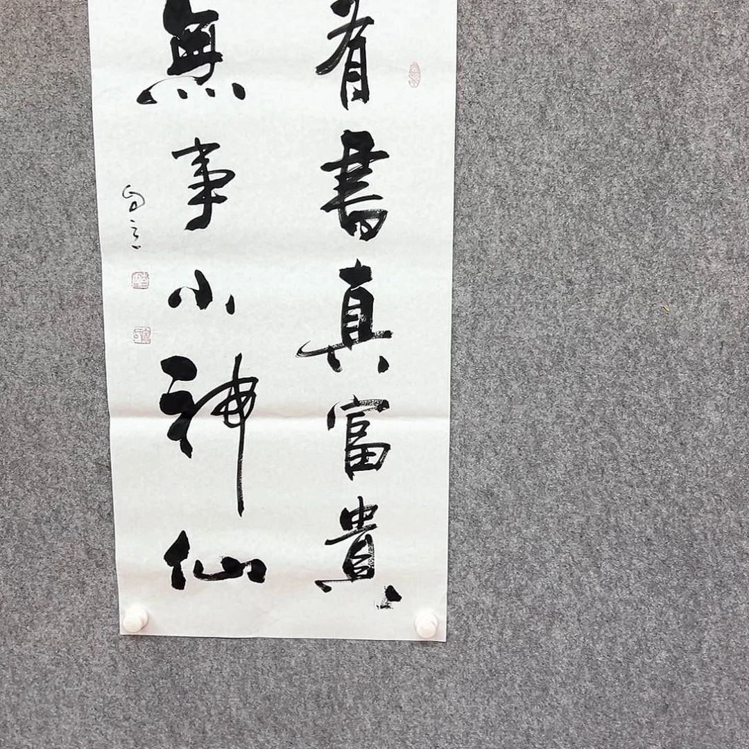 书法有书真富贵书法作品