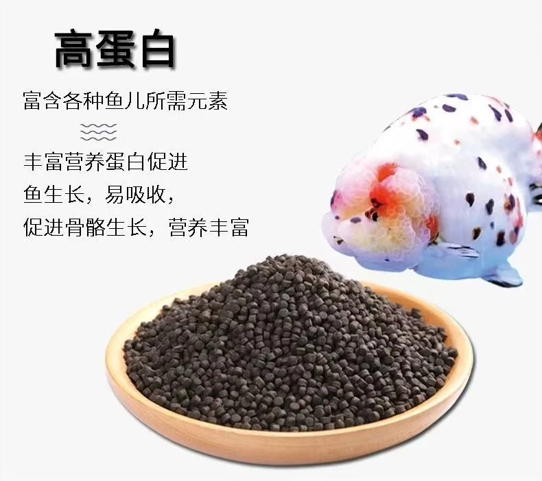 3包兰寿泰狮专用饲料（增肥款）下沉颗粒高蛋 鱼苗成鱼通用