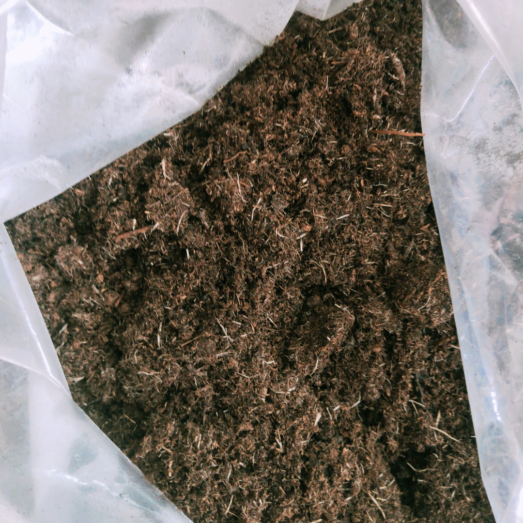 试种样品土100克，送芙蓉花种30--40粒