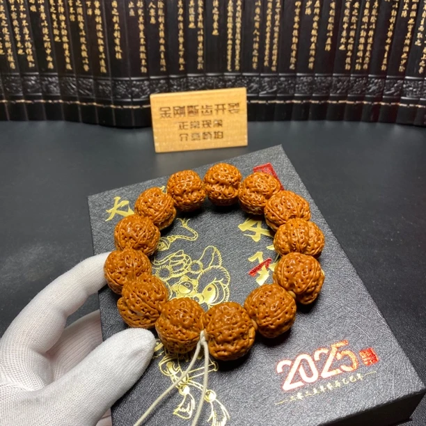 毕业牛货：粗筋深沟五爪龙（10号）