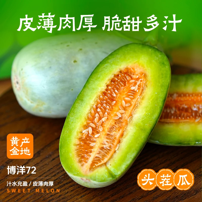 正宗山东博洋72黄金产地羊角蜜甜瓜香瓜当季水果整箱4.5斤左右