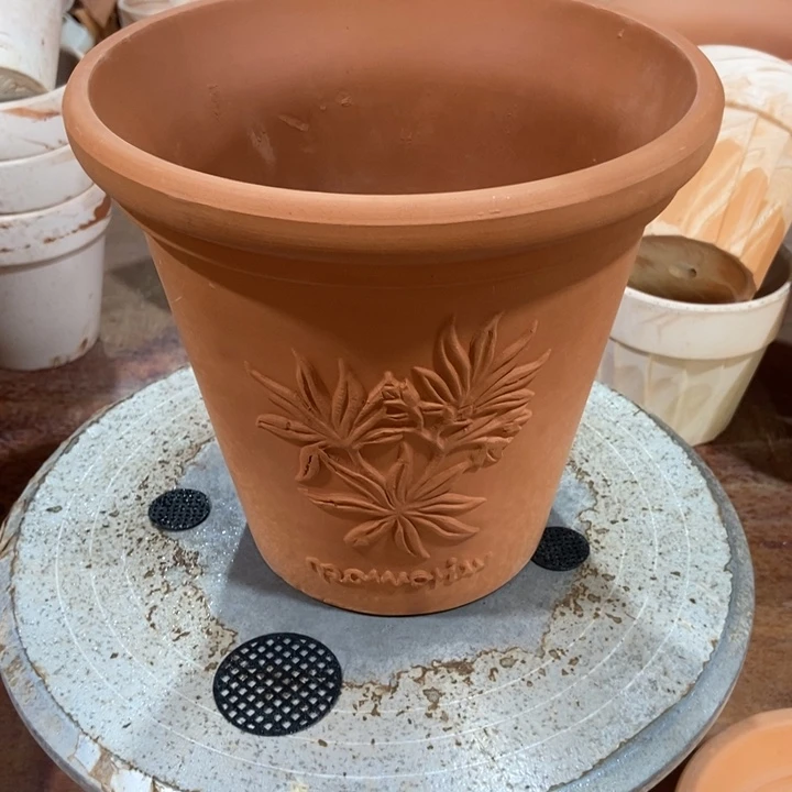 香草20×19-1