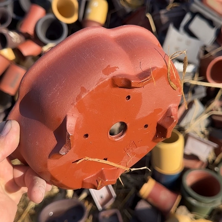 你就在家里吃好吧别想的我在这干呀就