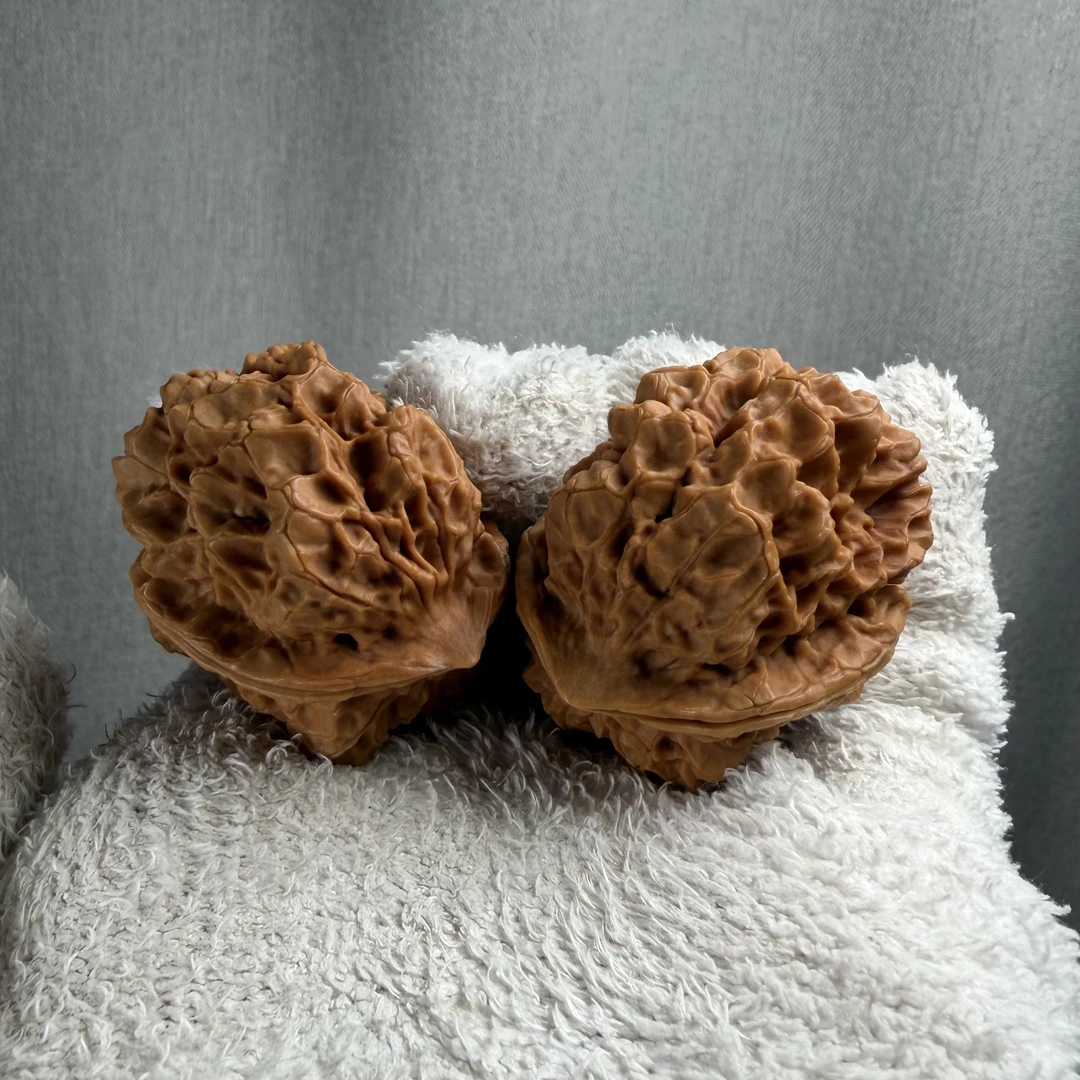 33尺全品狂龙金蝉