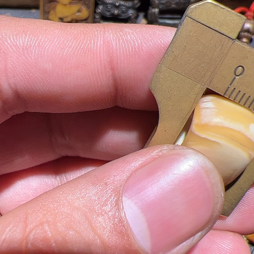 香榧木在家了一天