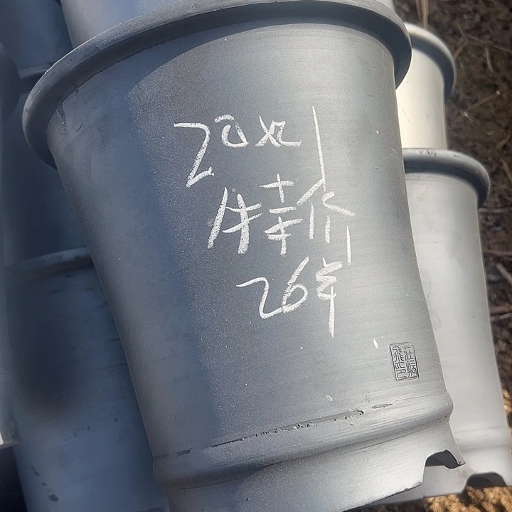 特价直筒口径20高度21