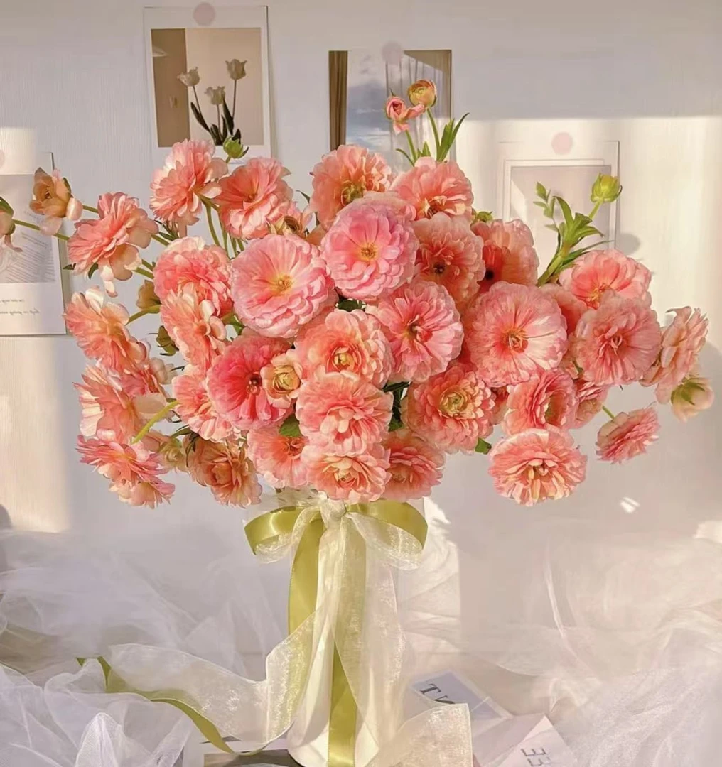 【陌上花开】鲑鱼粉蝴蝶洋牡丹-草花 1扎5支