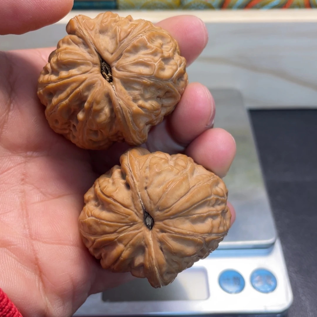 妄***师大叶紫檀（黑酸枝木类）