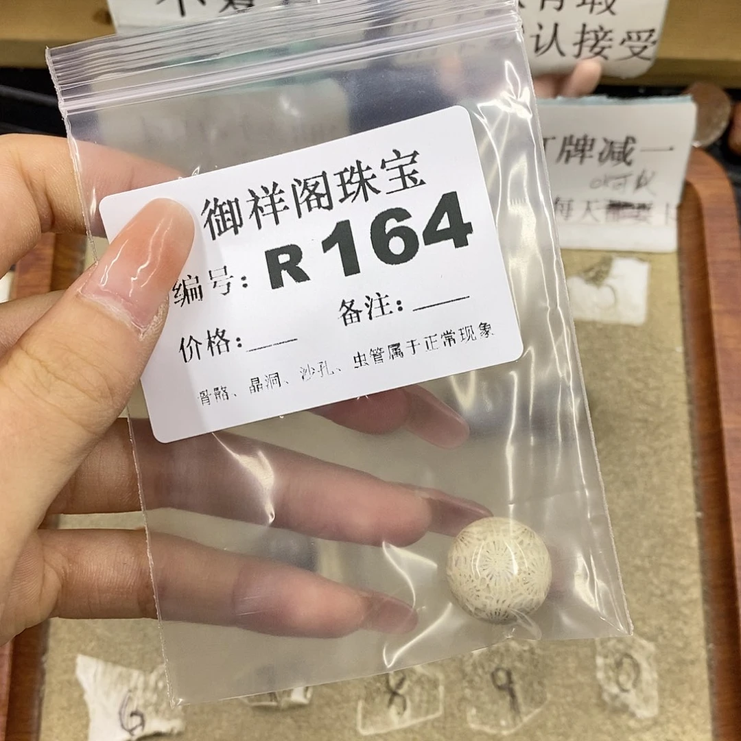 硅化珊瑚（珊瑚玉）未镶嵌颈饰不***友