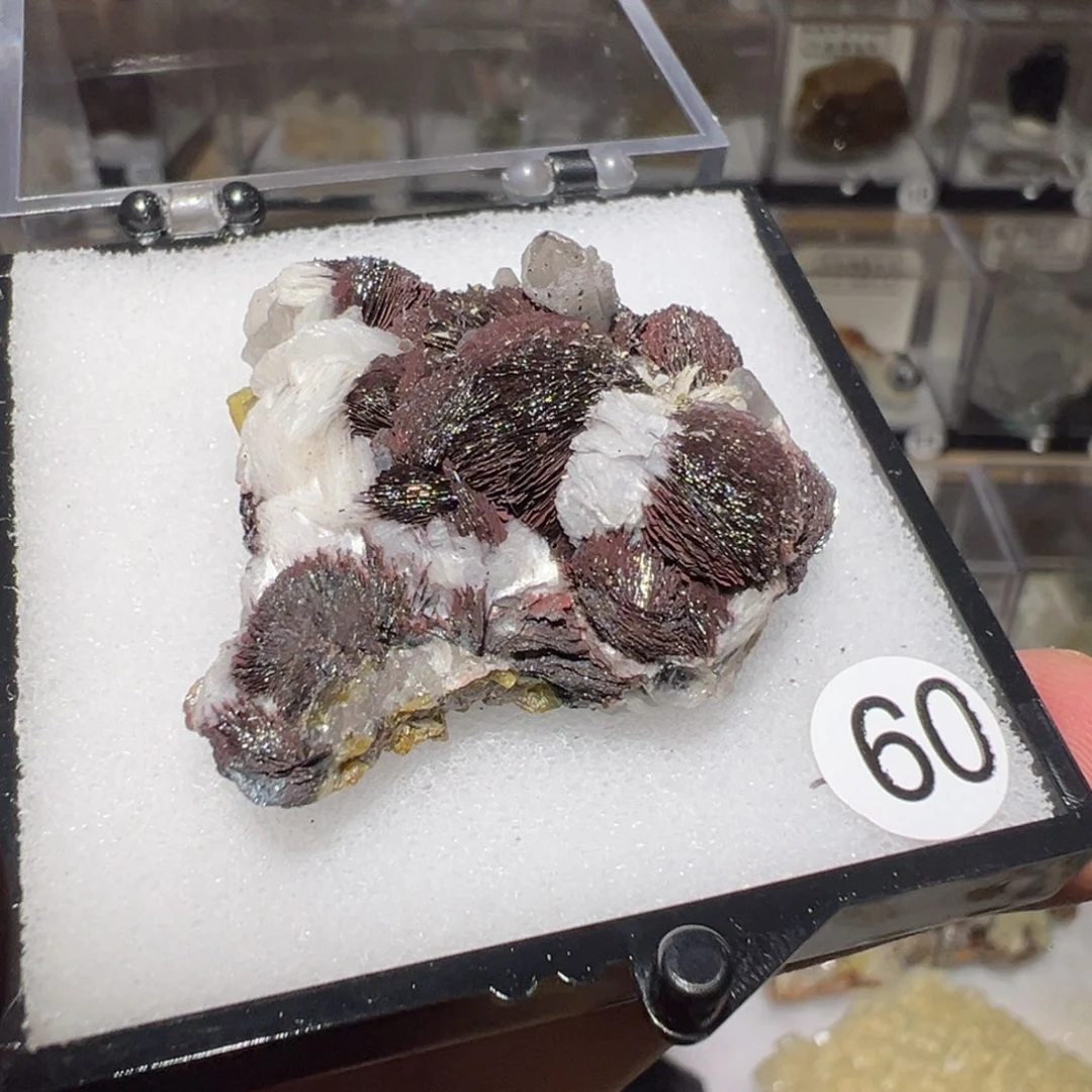 有机玻璃产地内蒙