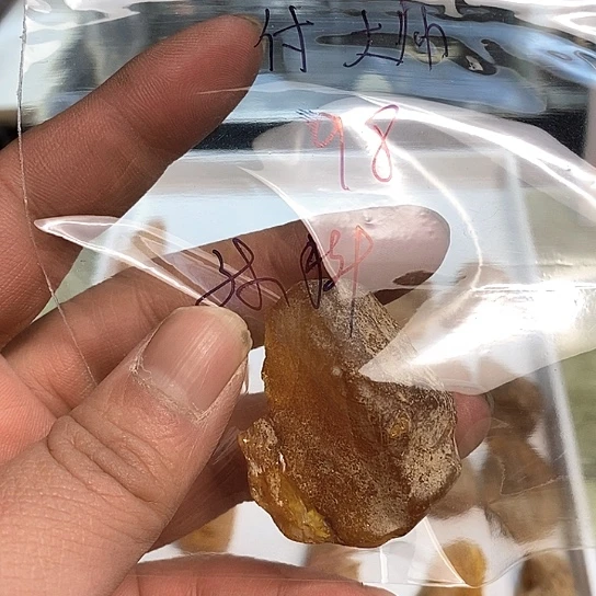 琥珀裸石未镶嵌付*帅虫珀