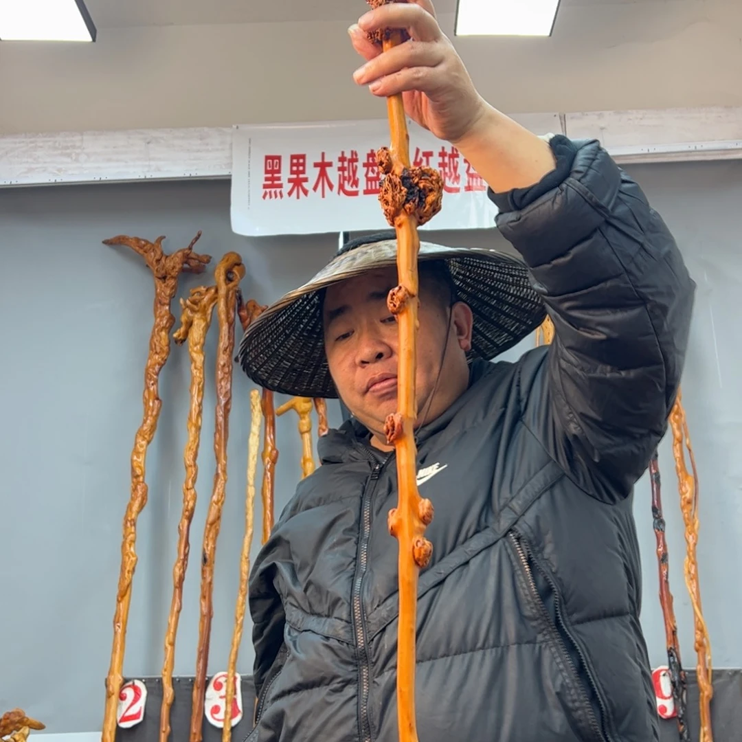 黑果木其他不****_黑果木662