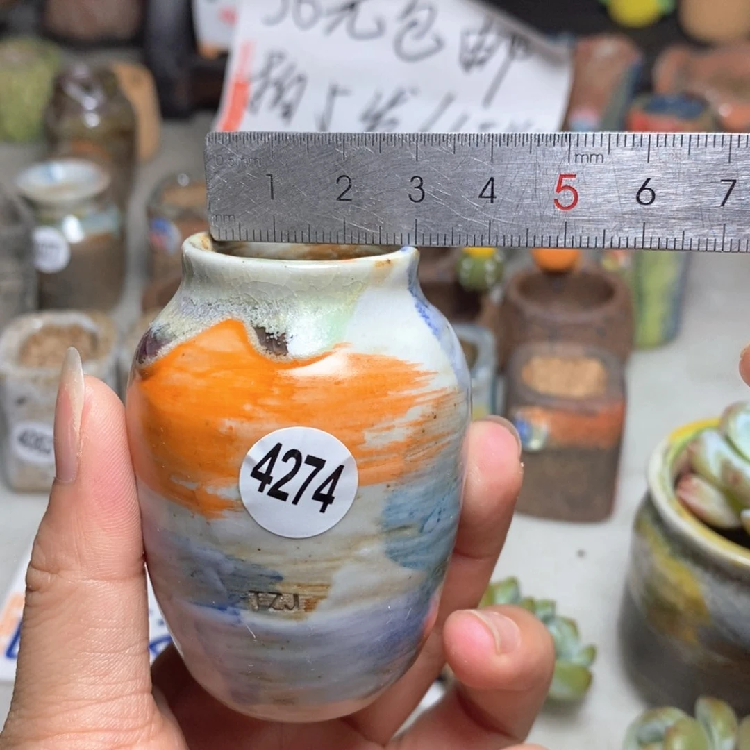 拍5送一个小礼物