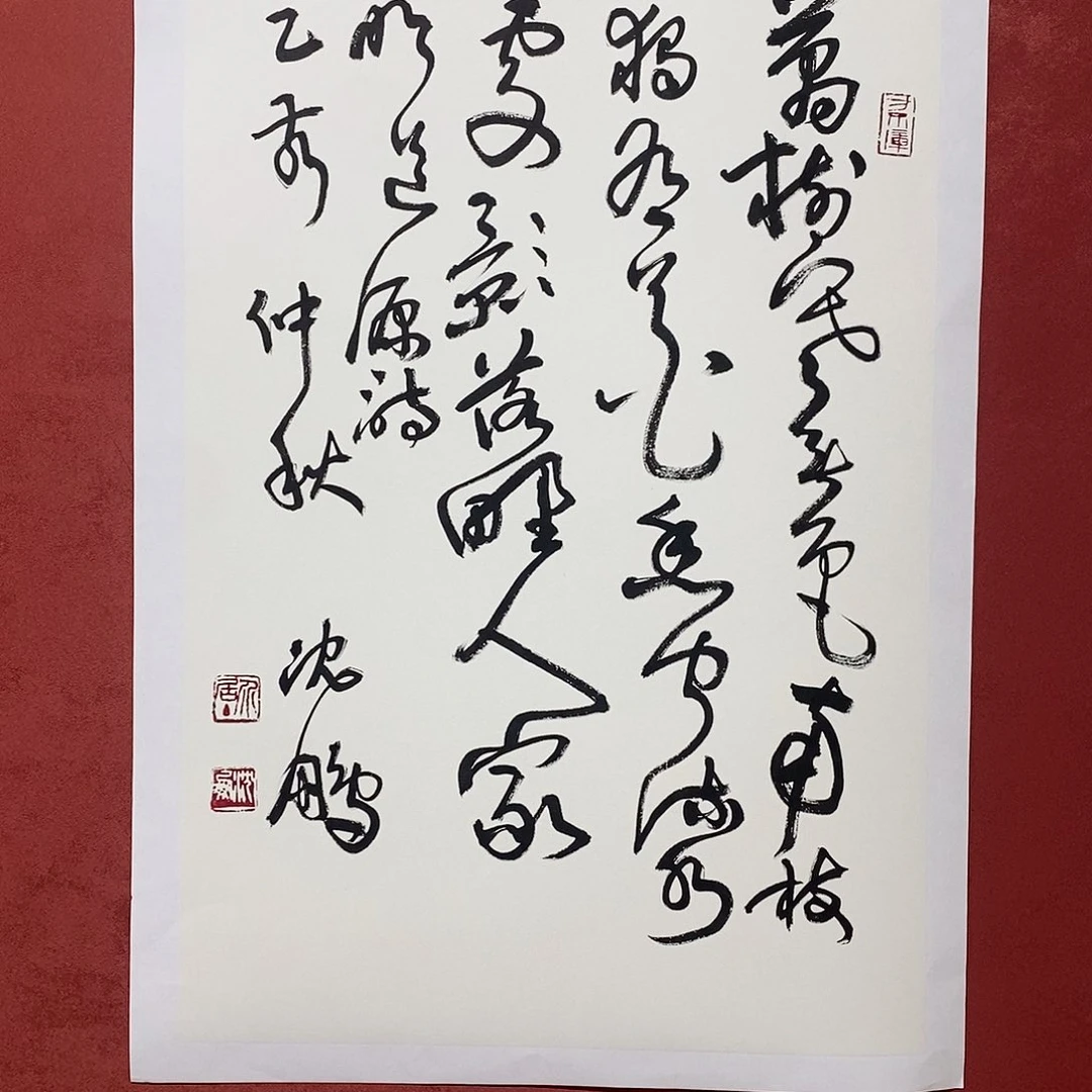 万树直播间大漏1111