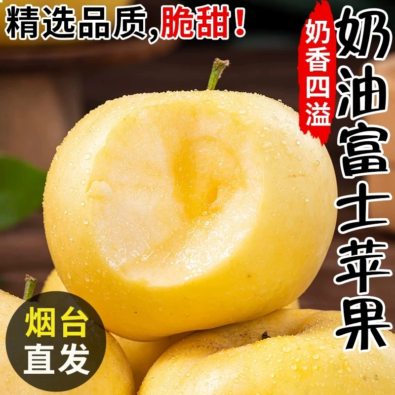 山东烟台晚熟黄金奶油富士苹果应当季正宗栖霞平果水果整箱脆甜