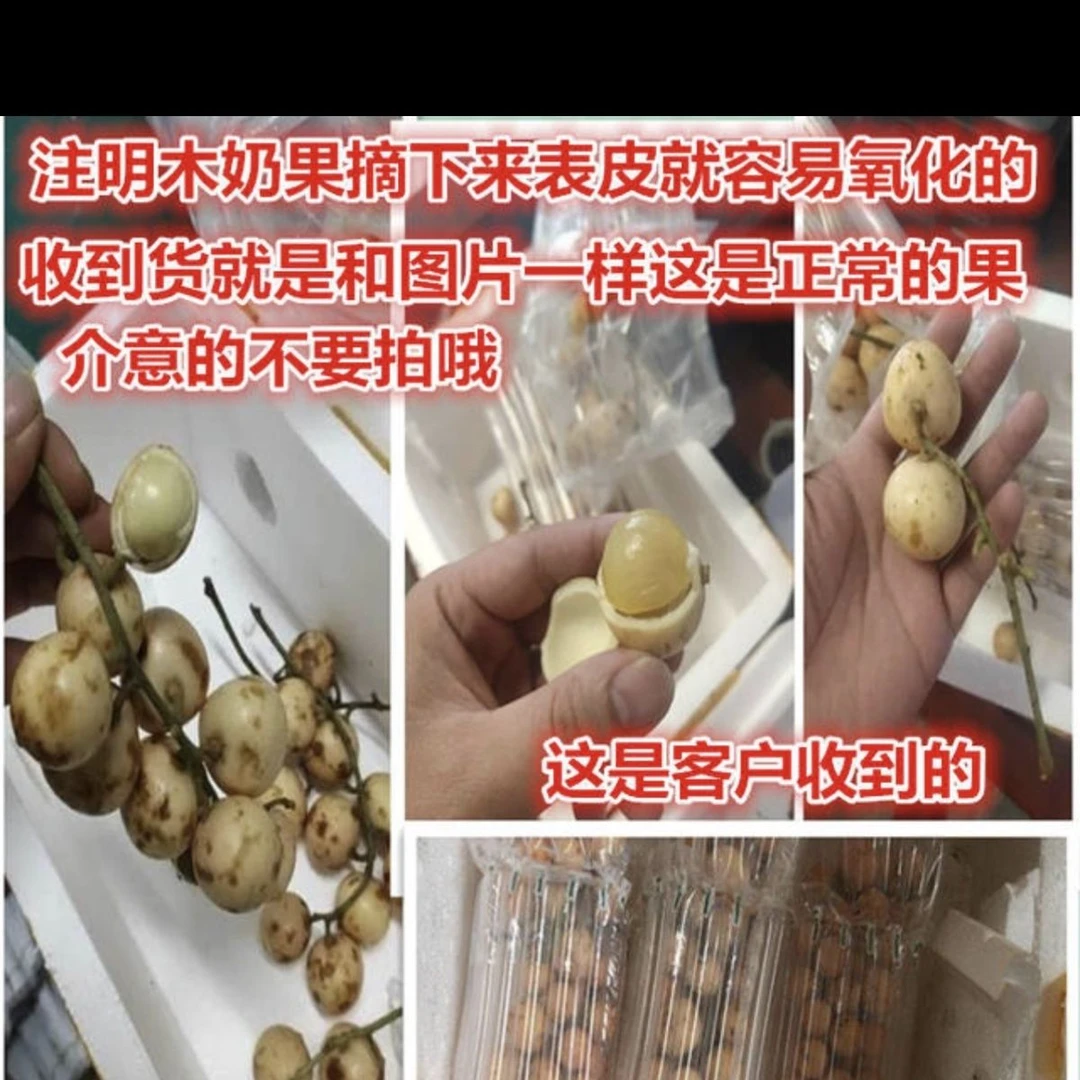 云南当季正宗野果直发三丫果酸酸甜甜罕见水果孕妇食用整箱专用