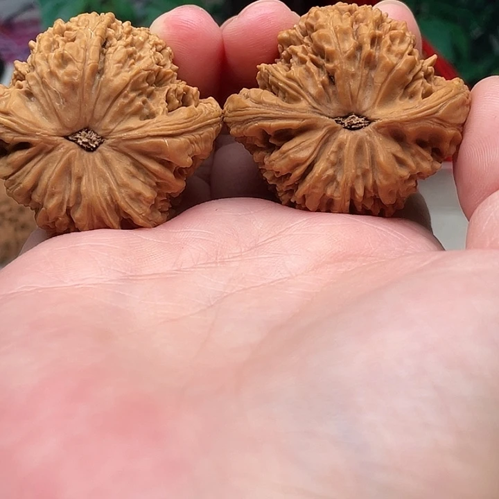 笑***笑物美价廉物美价廉