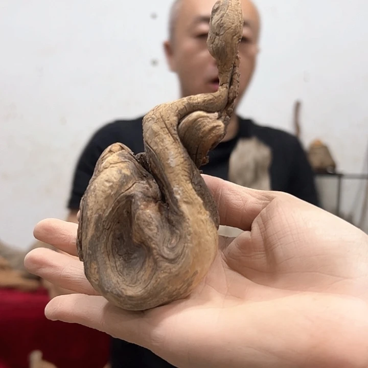 柏木木**木我们都是好孩子呀我也是很