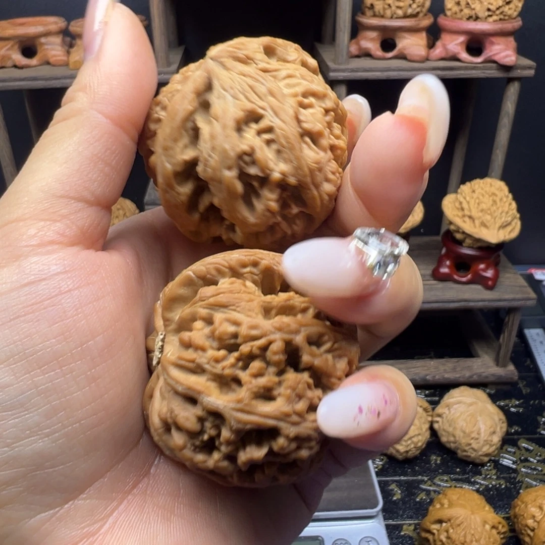 无***眠木质大粗筋全品无修