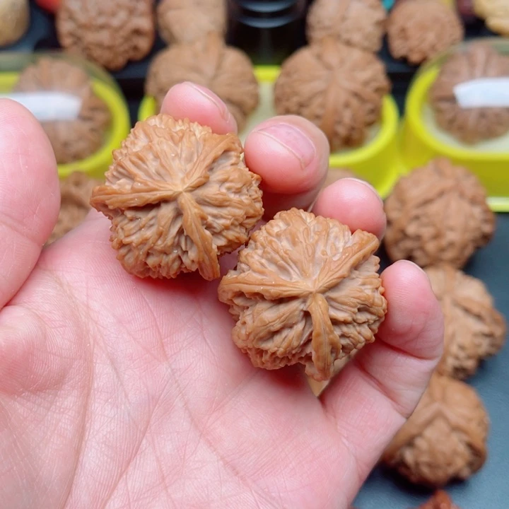 文玩核桃把件白狮子三棱35×34×34