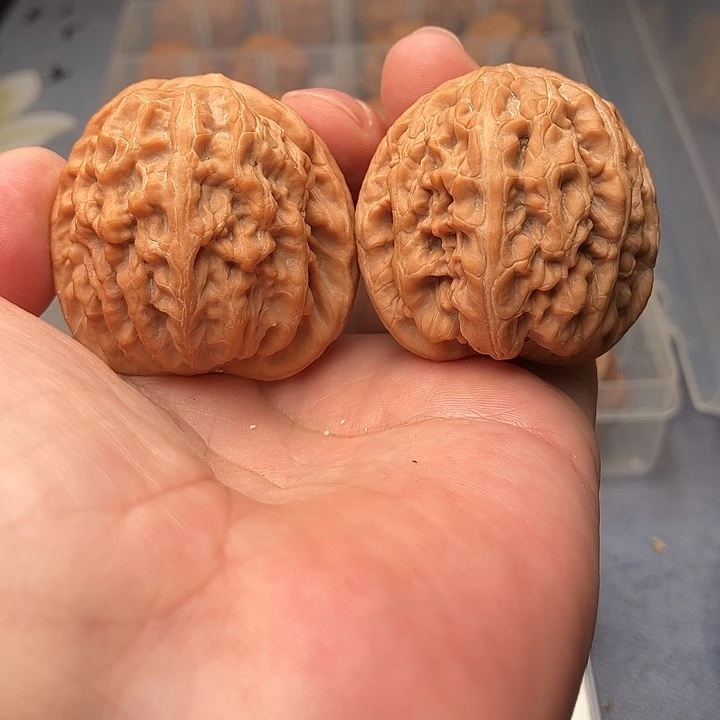 文玩核桃把件红锦鲤43