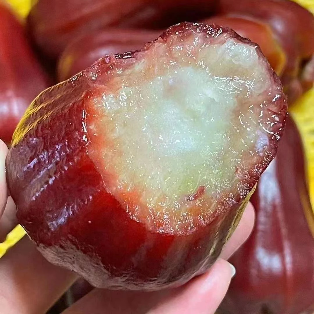 【顺丰空运】正宗海南三亚黑金刚莲雾新鲜现摘多汁脆甜水果