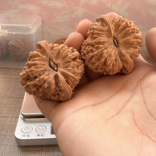 桃核吊坠有*核桃核桃