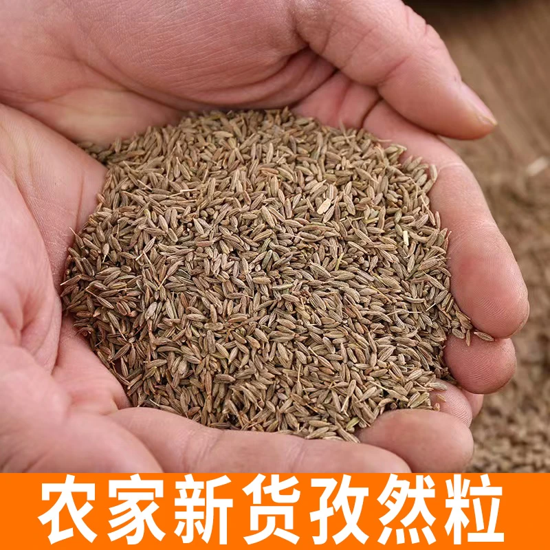 孜然粒 农家新货 烧烤调料撒料颗粒香料调味料
