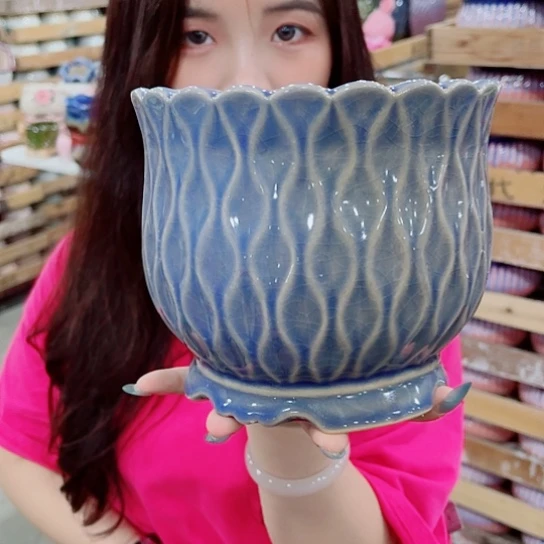 花盆凑单福利满10元发货！