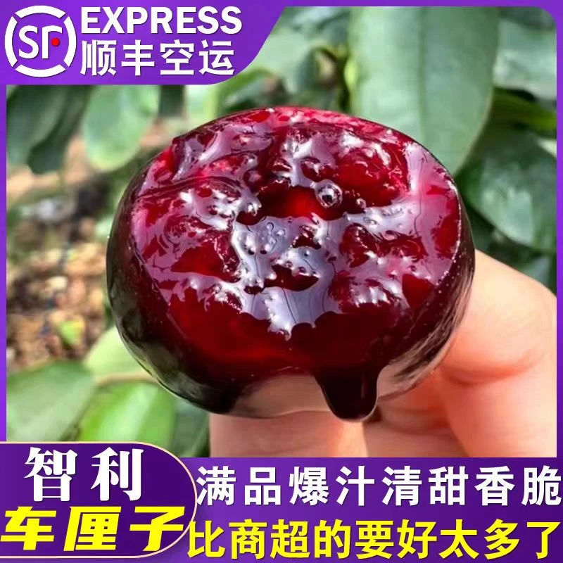 【常德市包邮】智利海运santina车厘子JD-4JD脆甜5斤 内附果径卡
