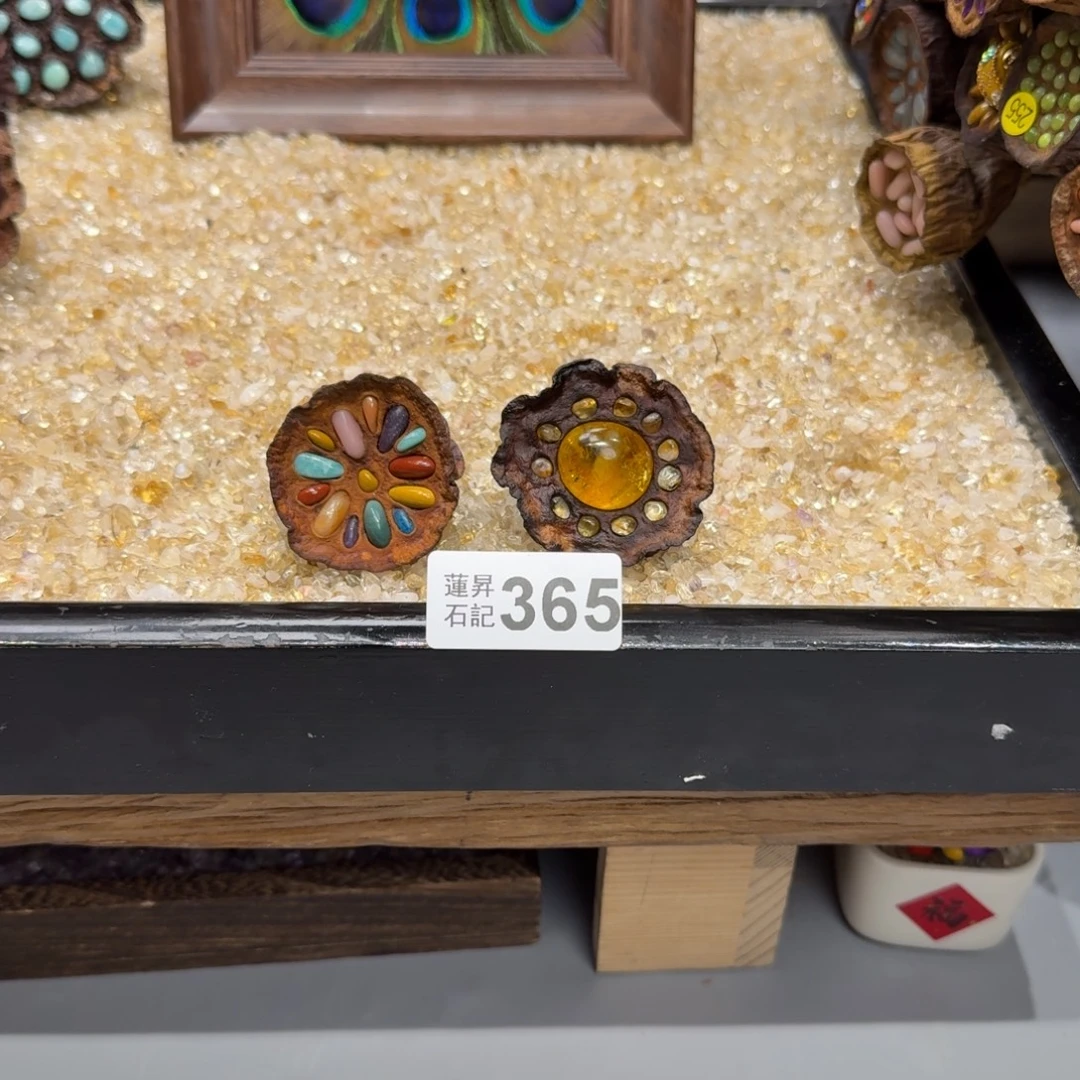 美***子365莲蓬摆件莲蓬摆件