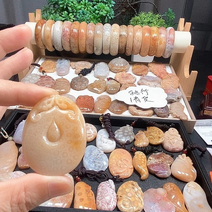 颈饰未镶嵌硅化珊瑚（珊瑚玉）