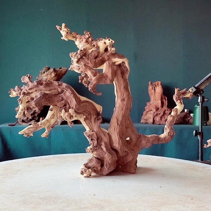 黑果木金**_236金丝红木羊蹄甲半成品