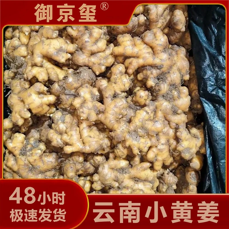 【云南生态溯源】云南小黄姜