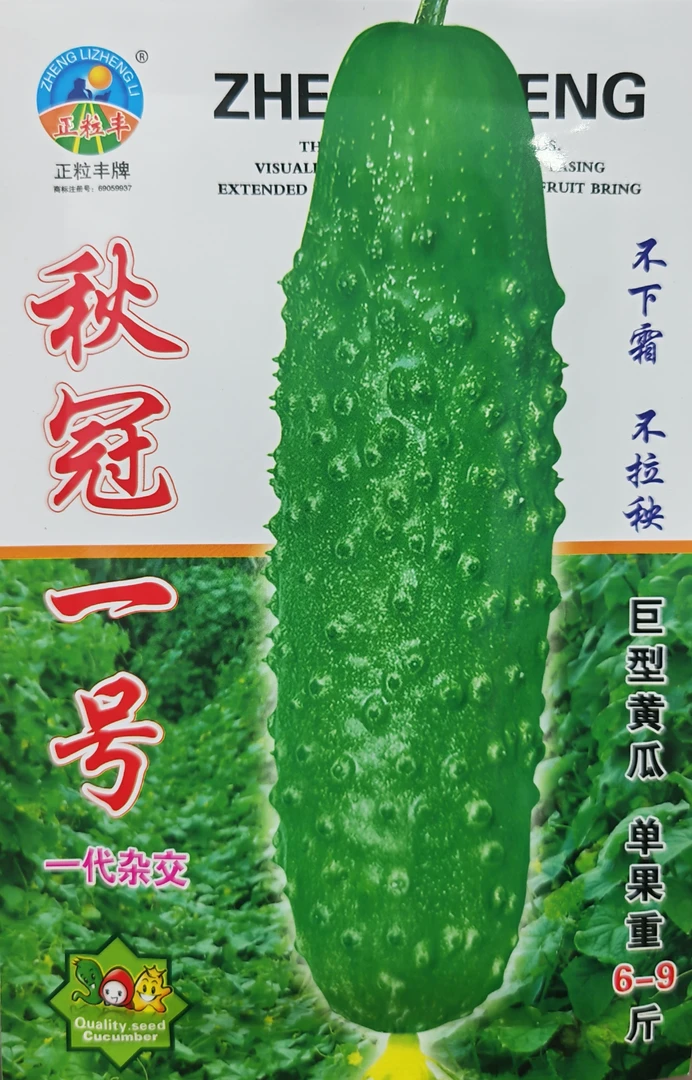 秋冠一号黄瓜种子