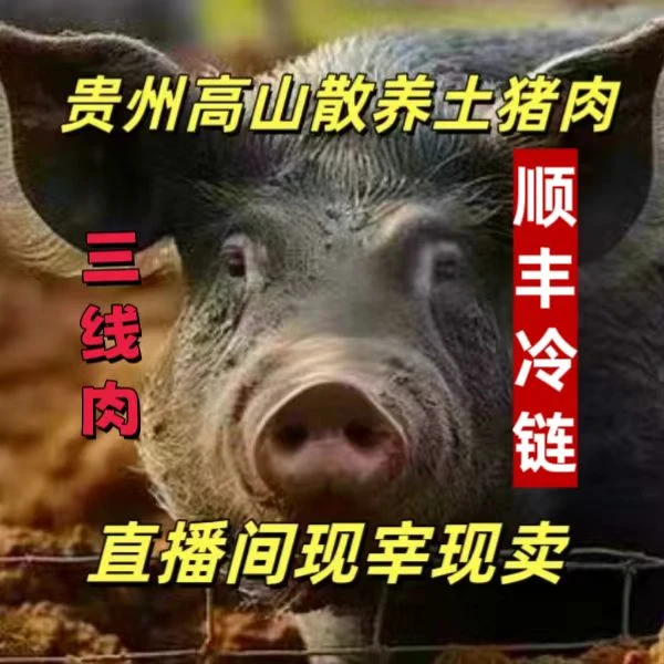 贵州高山散养土猪--【三线肉】(以实际斤两为准)