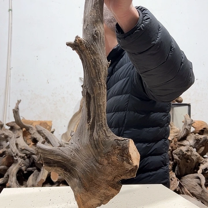 柏木木****店我们的生活也是如此的