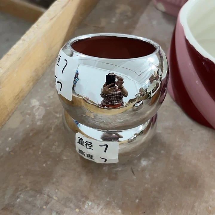 陶瓷花盆多肉植物