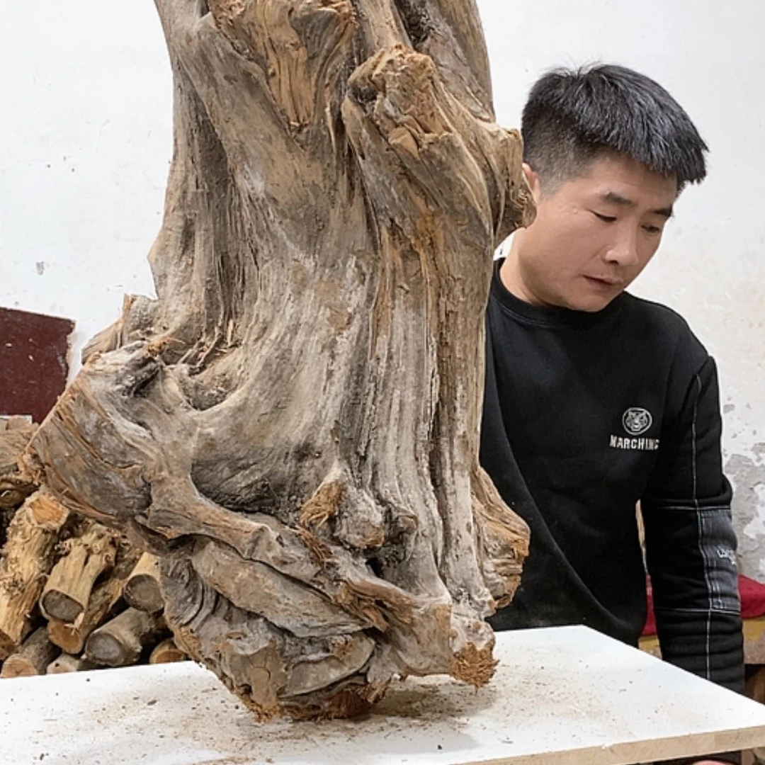 【闪购商品】柏木爽**木我们都是好孩子