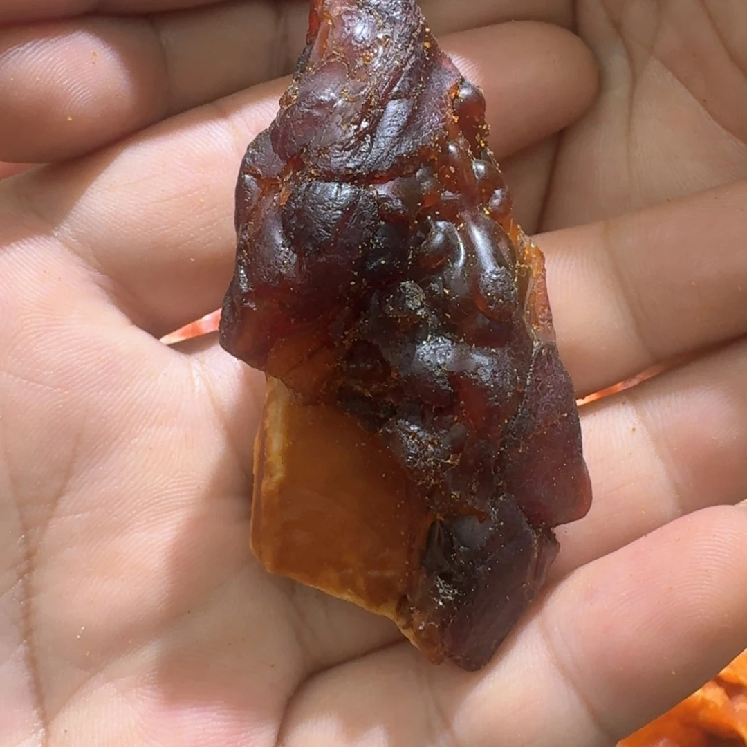 定制琥珀未镶嵌熊**哥专拍