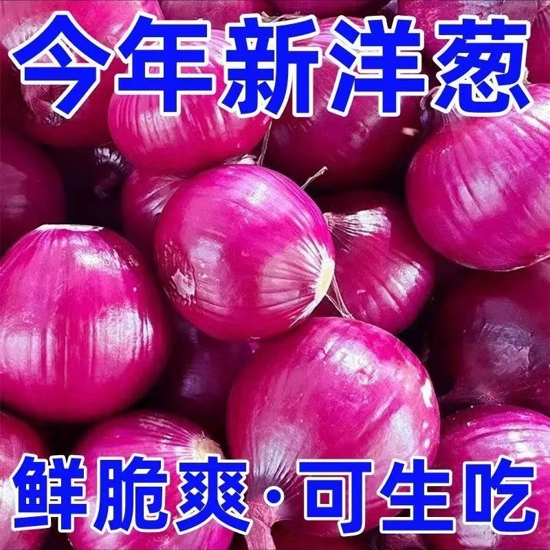 新鲜现挖紫皮水果洋葱脆甜多汁可生吃农家自种蔬菜