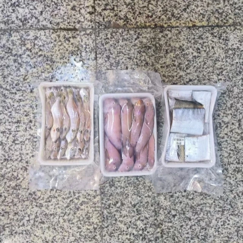 当季精选海鲜 带鱼马头迪仔套餐