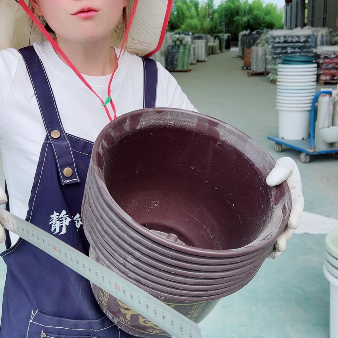 瑕疵福子盆8个无托