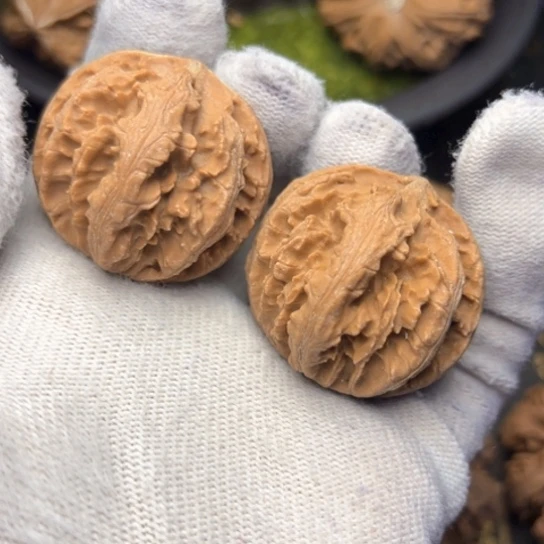 文玩核桃把件秦岭核桃42