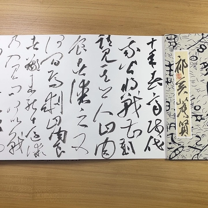 书法中书协会员作品